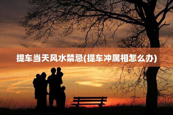 提车当天风水禁忌(提车冲属相怎么办)