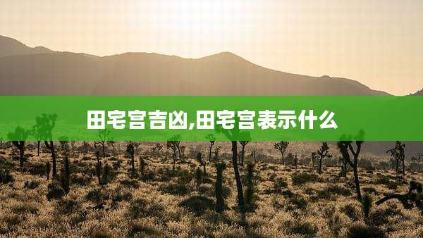 田宅宫吉凶,田宅宫表示什么