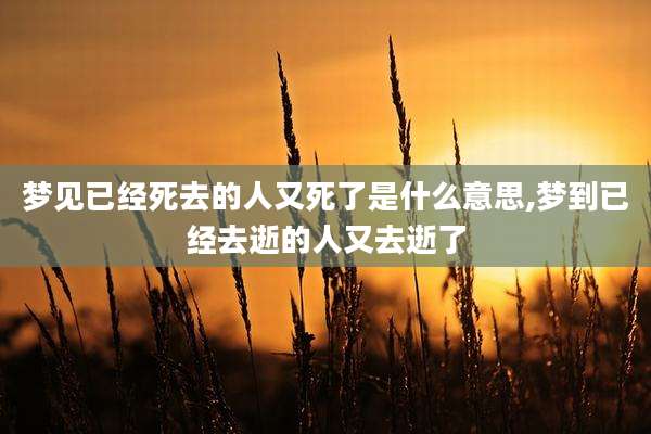 梦见已经死去的人又死了是什么意思,梦到已经去逝的人又去逝了