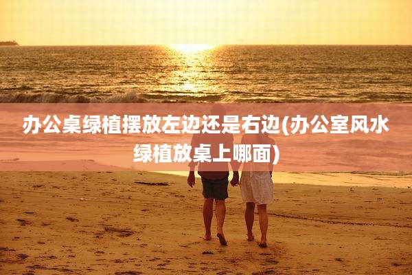 办公桌绿植摆放左边还是右边(办公室风水绿植放桌上哪面)