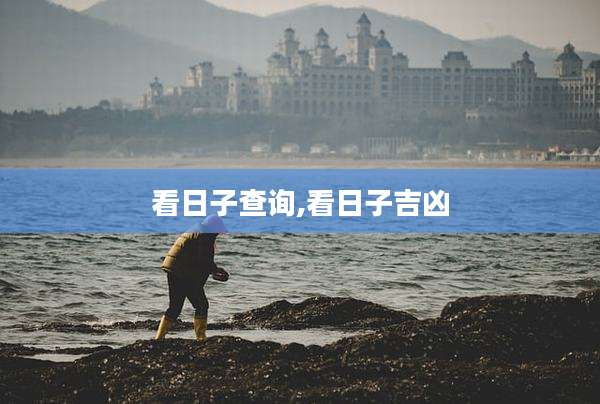 看日子查询,看日子吉凶