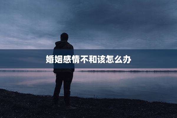 婚姻感情不和该怎么办
