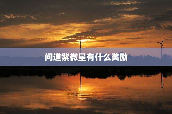 问道紫微星有什么奖励
