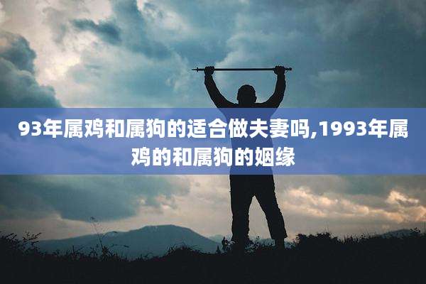 93年属鸡和属狗的适合做夫妻吗,1993年属鸡的和属狗的姻缘