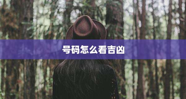号码怎么看吉凶