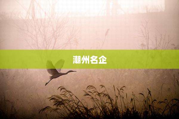 潮州名企