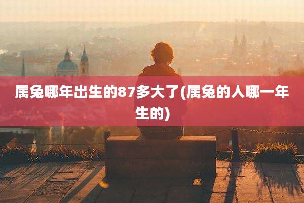 属兔哪年出生的87多大了(属兔的人哪一年生的)