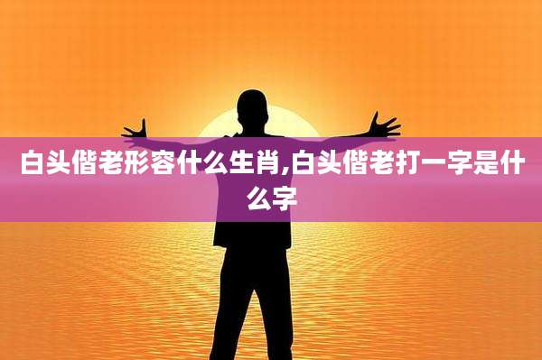 白头偕老形容什么生肖,白头偕老打一字是什么字