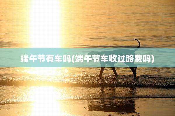 端午节有车吗(端午节车收过路费吗)