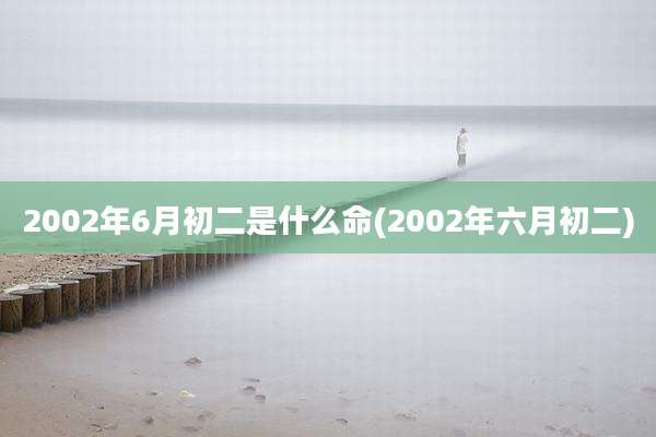 2002年6月初二是什么命(2002年六月初二)