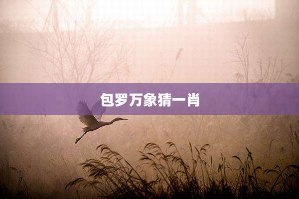 包罗万象猜一肖