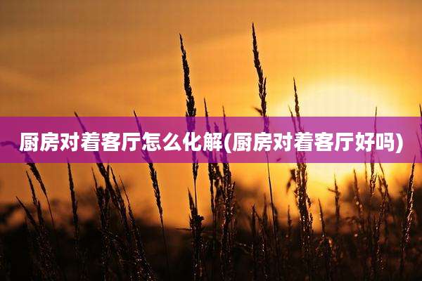 厨房对着客厅怎么化解(厨房对着客厅好吗)