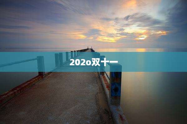 202o双十一