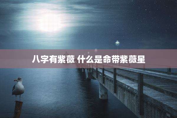 八字有紫薇 什么是命带紫薇星