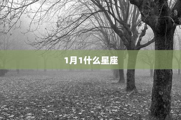 1月1什么星座