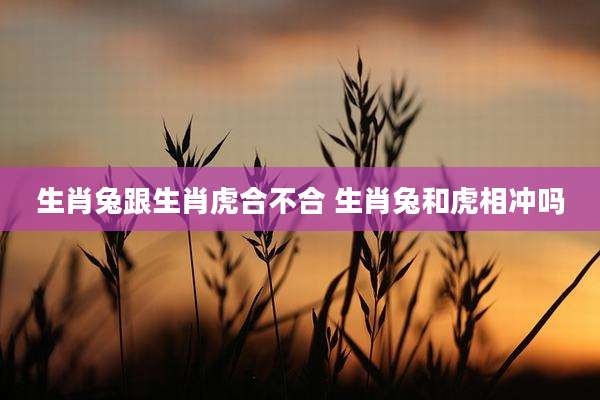 生肖兔跟生肖虎合不合 生肖兔和虎相冲吗
