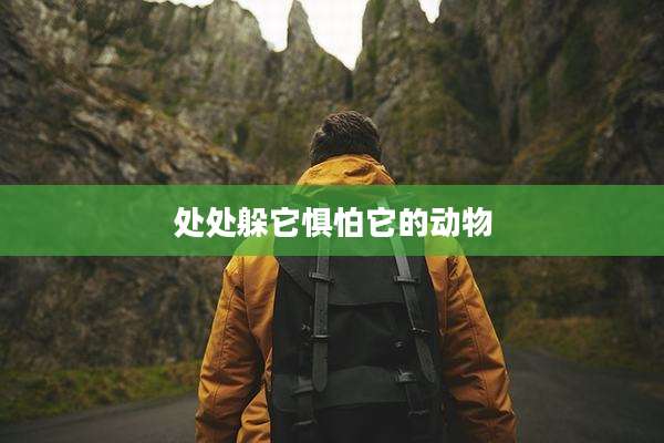 处处躲它惧怕它的动物