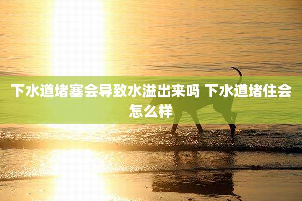 下水道堵塞会导致水溢出来吗 下水道堵住会怎么样