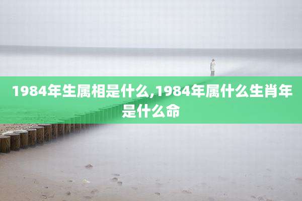 1984年生属相是什么,1984年属什么生肖年是什么命