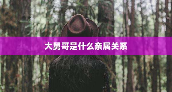 大舅哥是什么亲属关系