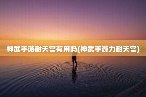 神武手游耐天宫有用吗(神武手游力耐天宫)