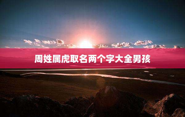 周姓属虎取名两个字大全男孩