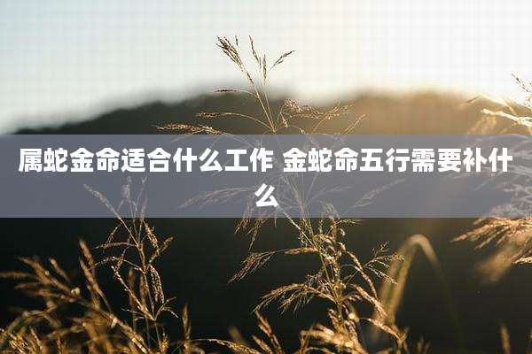 属蛇金命适合什么工作 金蛇命五行需要补什么