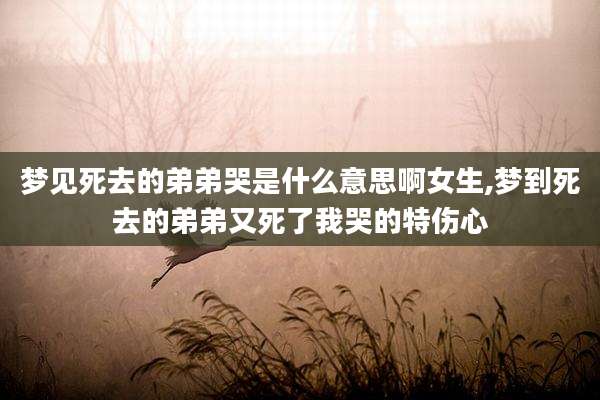 梦见死去的弟弟哭是什么意思啊女生,梦到死去的弟弟又死了我哭的特伤心