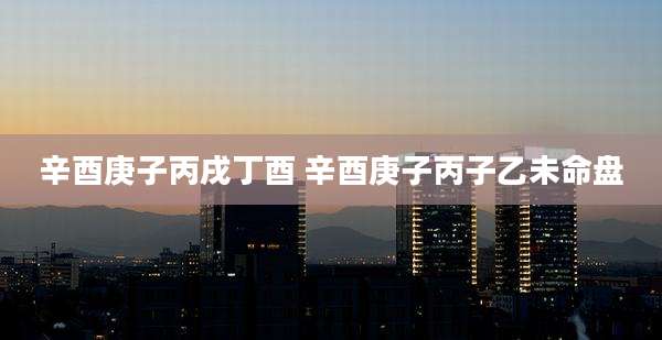 辛酉庚子丙戌丁酉 辛酉庚子丙子乙未命盘
