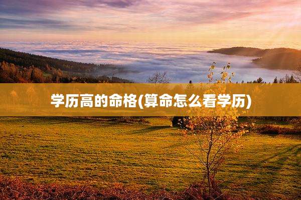 学历高的命格(算命怎么看学历)