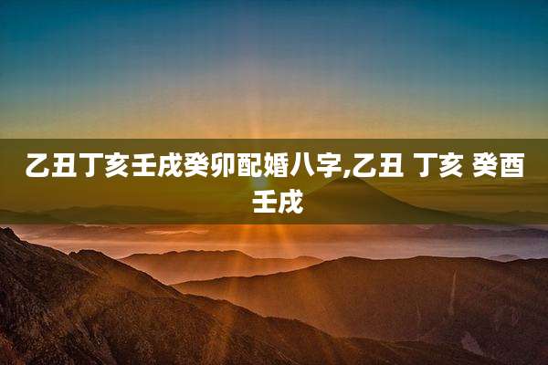 乙丑丁亥壬戌癸卯配婚八字,乙丑 丁亥 癸酉 壬戌