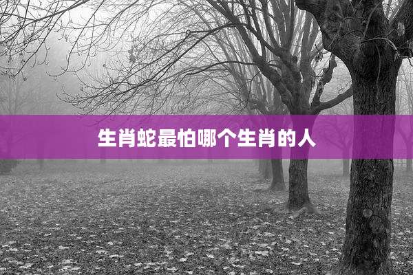 生肖蛇最怕哪个生肖的人