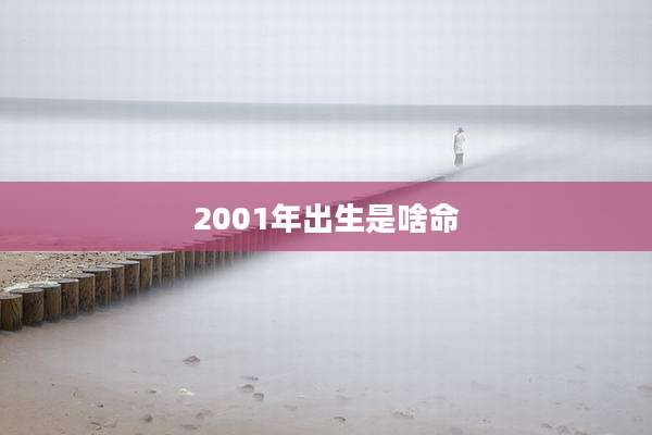 2001年出生是啥命