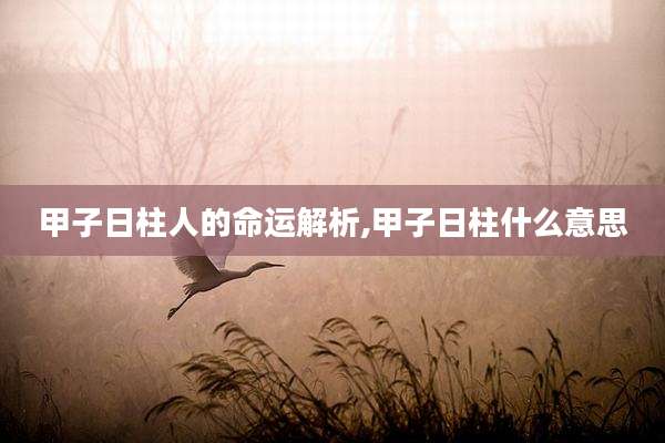 甲子日柱人的命运解析,甲子日柱什么意思
