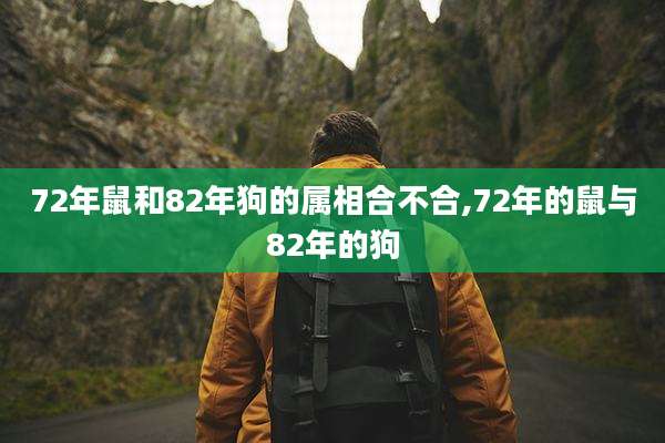 72年鼠和82年狗的属相合不合,72年的鼠与82年的狗