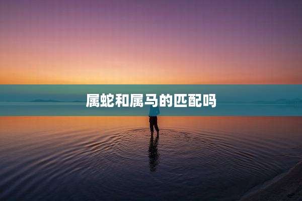属蛇和属马的匹配吗