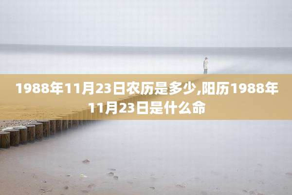 1988年11月23日农历是多少,阳历1988年11月23日是什么命