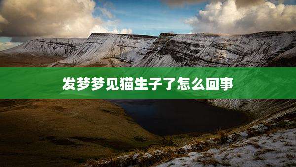 发梦梦见猫生子了怎么回事
