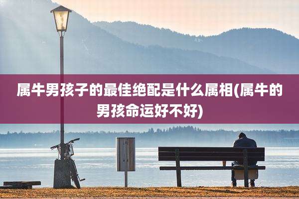 属牛男孩子的最佳绝配是什么属相(属牛的男孩命运好不好)