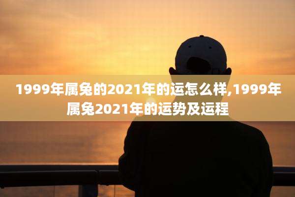 1999年属兔的2021年的运怎么样,1999年属兔2021年的运势及运程