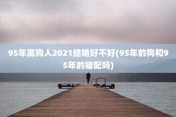 95年属狗人2021结婚好不好(95年的狗和95年的猪配吗)
