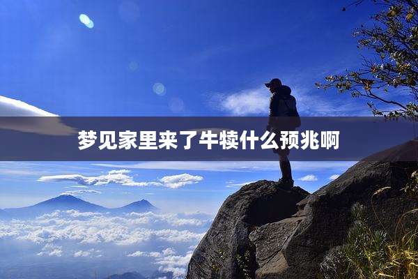 梦见家里来了牛犊什么预兆啊