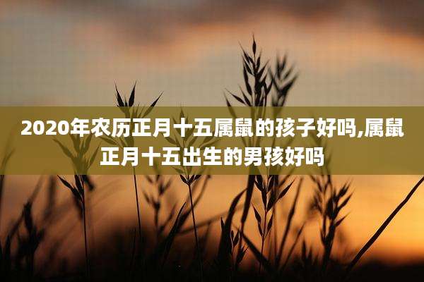 2020年农历正月十五属鼠的孩子好吗,属鼠正月十五出生的男孩好吗