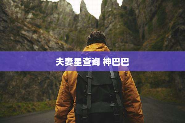 夫妻星查询 神巴巴