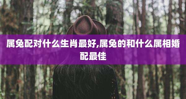 属兔配对什么生肖最好,属兔的和什么属相婚配最佳