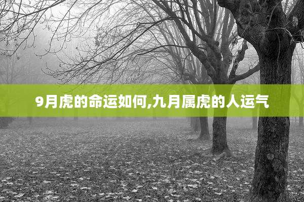 9月虎的命运如何,九月属虎的人运气