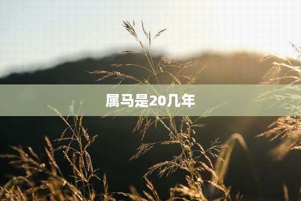 属马是20几年