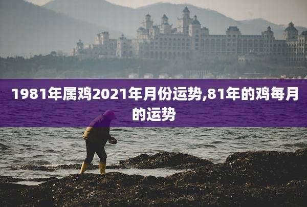 1981年属鸡2021年月份运势,81年的鸡每月的运势