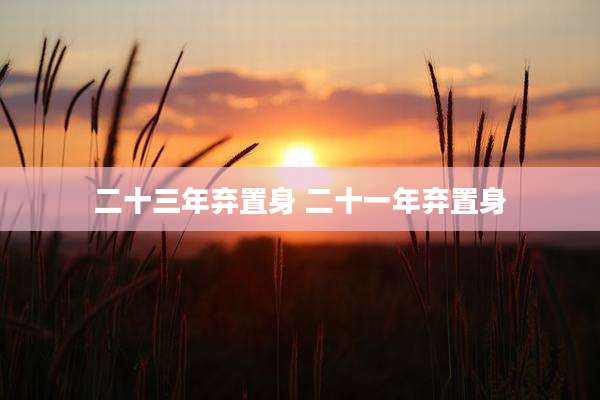二十三年弃置身 二十一年弃置身