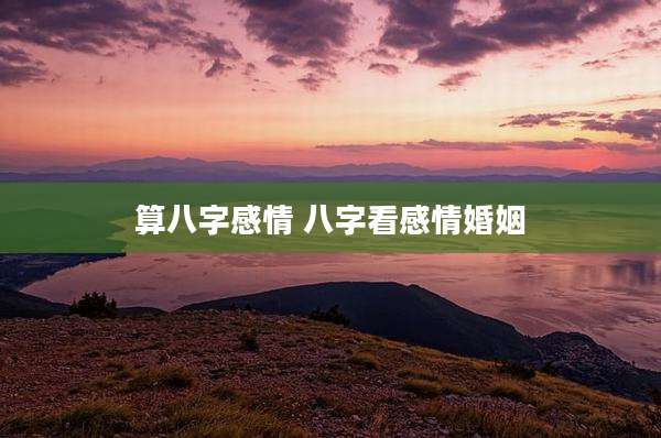 算八字感情 八字看感情婚姻